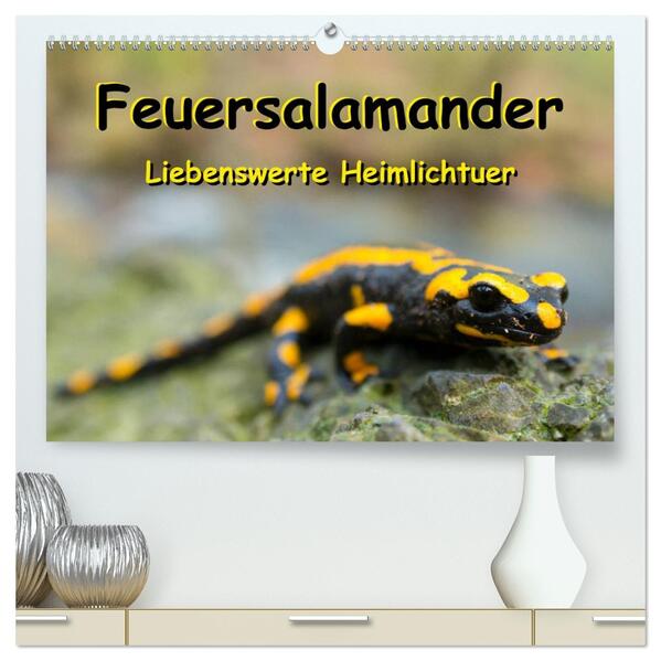 Feuersalamander - Liebenswerte Heimlichtuer (hochwertiger Premium Wandkalender 2026 DIN A2 quer) Kunstdruck in Hochglanz