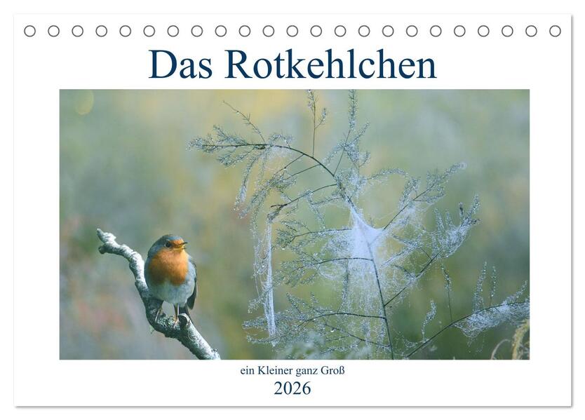 Das Rotkehlchen ein Kleiner ganz Groß (Tischkalender 2026 DIN A5 quer) CALVENDO Monatskalender