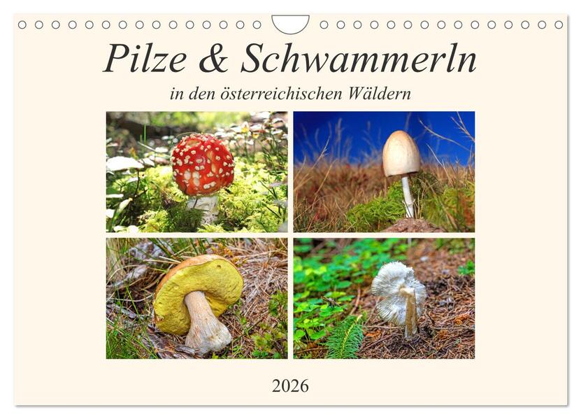 Pilze & Schwammerln (Wandkalender 2026 DIN A4 quer) CALVENDO Monatskalender