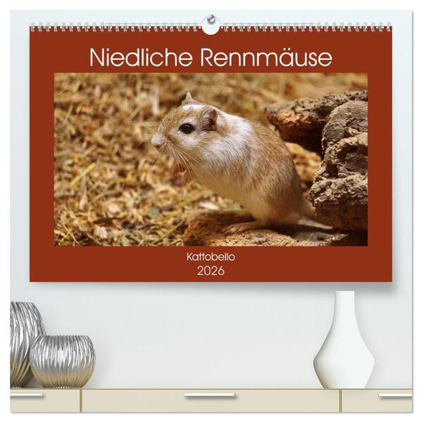 Niedliche Rennmäuse (hochwertiger Premium Wandkalender 2026 DIN A2 quer) Kunstdruck in Hochglanz