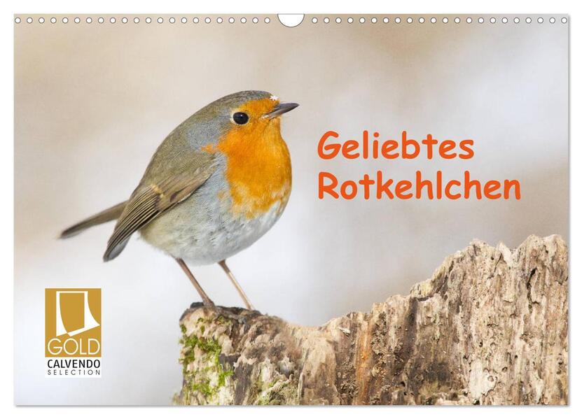 Geliebtes Rotkehlchen (Wandkalender 2026 DIN A3 quer) CALVENDO Monatskalender