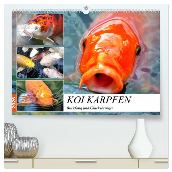 Koi Karpfen. Blickfang und Glücksbringer (hochwertiger Premium Wandkalender 2026 DIN A2 quer) Kunstdruck in Hochglanz
