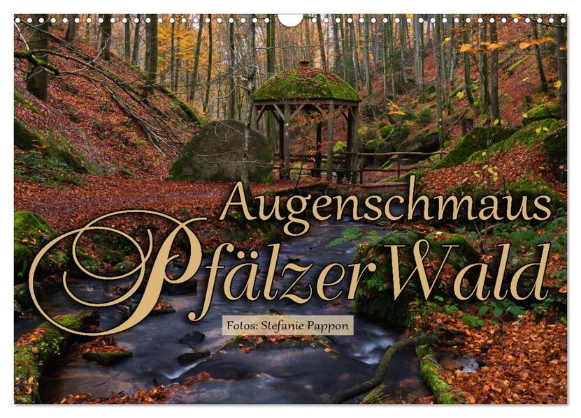 Augenschmaus Pfälzer Wald (Wandkalender 2026 DIN A3 quer) CALVENDO Monatskalender