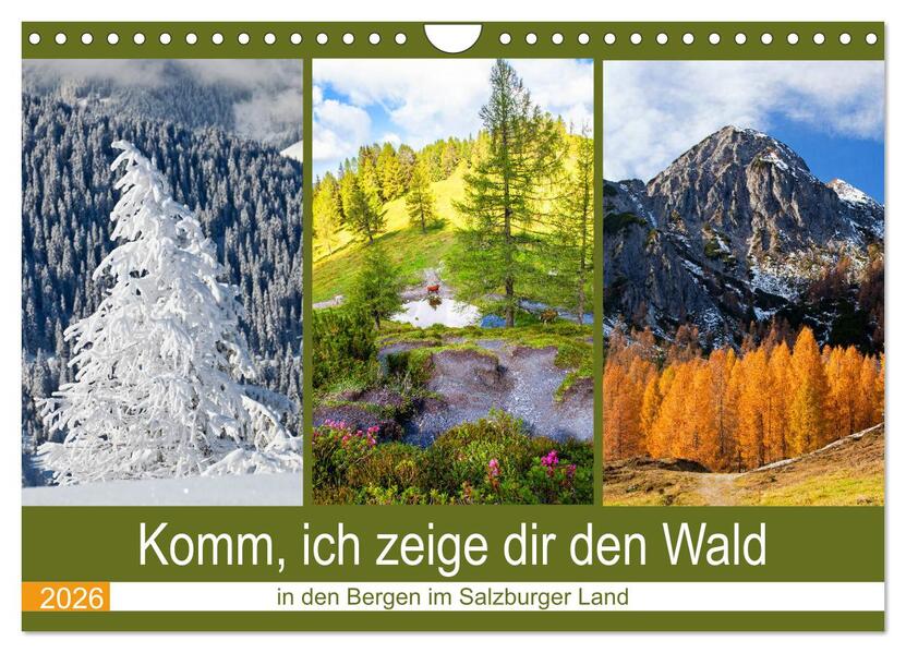 Komm ich zeige dir den Wald (Wandkalender 2026 DIN A4 quer) CALVENDO Monatskalender