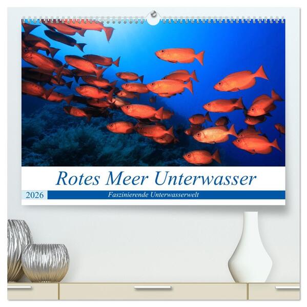 Rotes Meer Unterwasser (hochwertiger Premium Wandkalender 2026 DIN A2 quer) Kunstdruck in Hochglanz