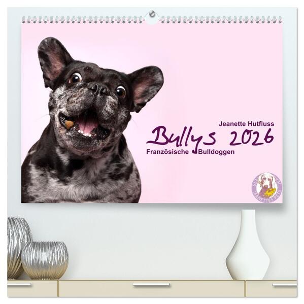 Bullys - Französische Bulldoggen 2026 (hochwertiger Premium Wandkalender 2026 DIN A2 quer) Kunstdruck in Hochglanz