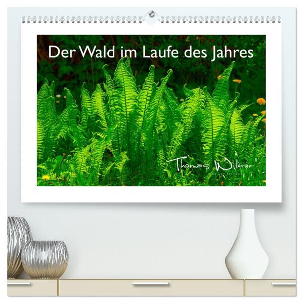 Der Wald im Laufe des Jahres (hochwertiger Premium Wandkalender 2026 DIN A2 quer) Kunstdruck in Hochglanz