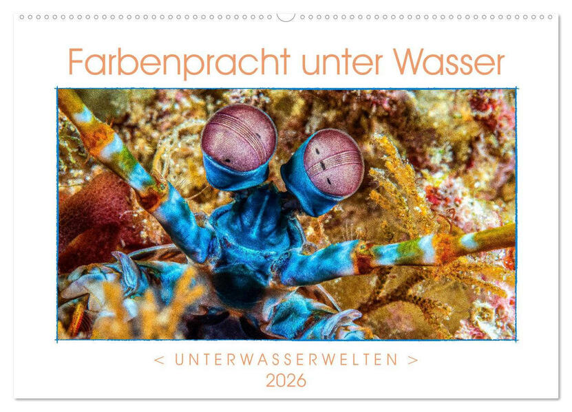 Farbenpracht unter Wasser (Wandkalender 2026 DIN A2 quer) CALVENDO Monatskalender