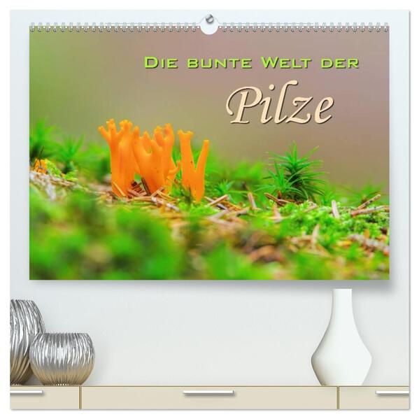 Die bunte Welt der Pilze (hochwertiger Premium Wandkalender 2026 DIN A2 quer) Kunstdruck in Hochglanz