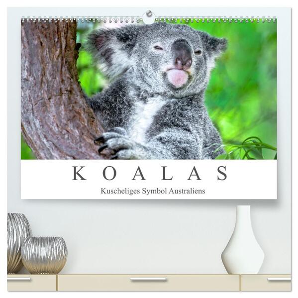 Koalas - Kuscheliges Symbol Australiens (hochwertiger Premium Wandkalender 2026 DIN A2 quer) Kunstdruck in Hochglanz
