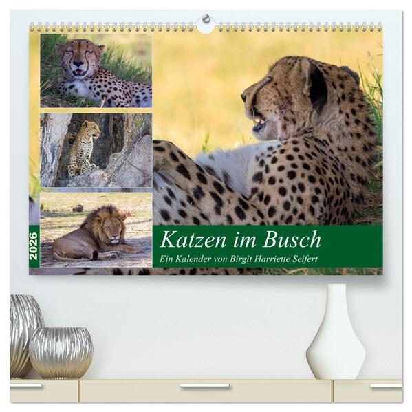 Katzen im Busch (hochwertiger Premium Wandkalender 2026 DIN A2 quer) Kunstdruck in Hochglanz