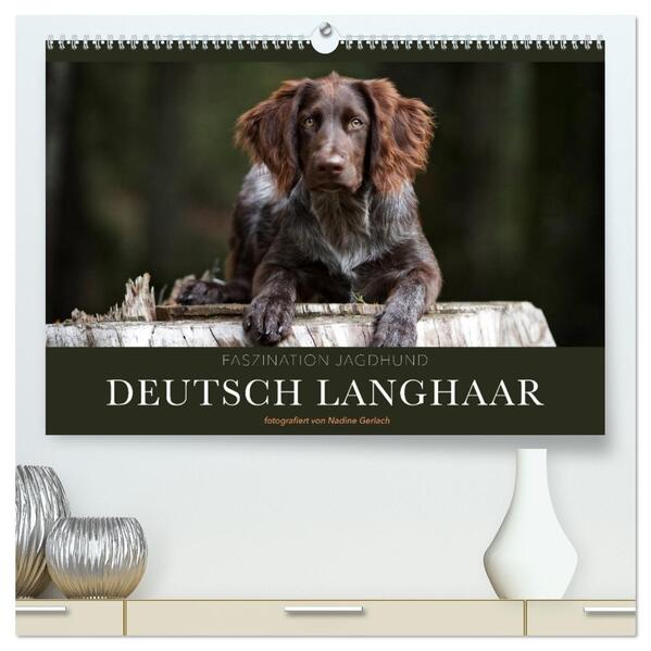 Faszination Jagdhund - Deutsch Langhaar (hochwertiger Premium Wandkalender 2026 DIN A2 quer) Kunstdruck in Hochglanz
