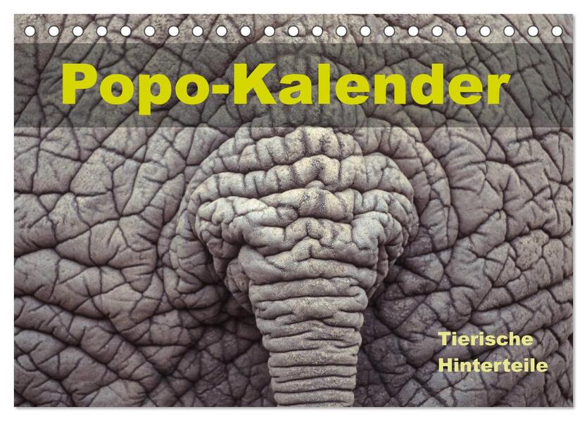 Popo-Kalender (Tischkalender 2026 DIN A5 quer) CALVENDO Monatskalender