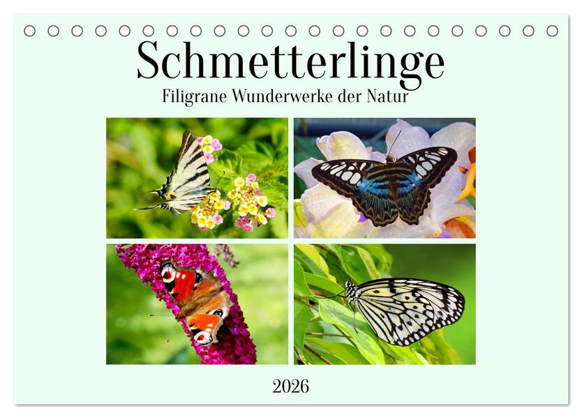 Schmetterlinge - Filigrane Wunderwerke der Natur (Tischkalender 2026 DIN A5 quer) CALVENDO Monatskalender