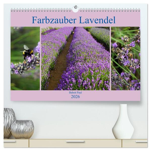 Farbzauber Lavendel (hochwertiger Premium Wandkalender 2026 DIN A2 quer) Kunstdruck in Hochglanz