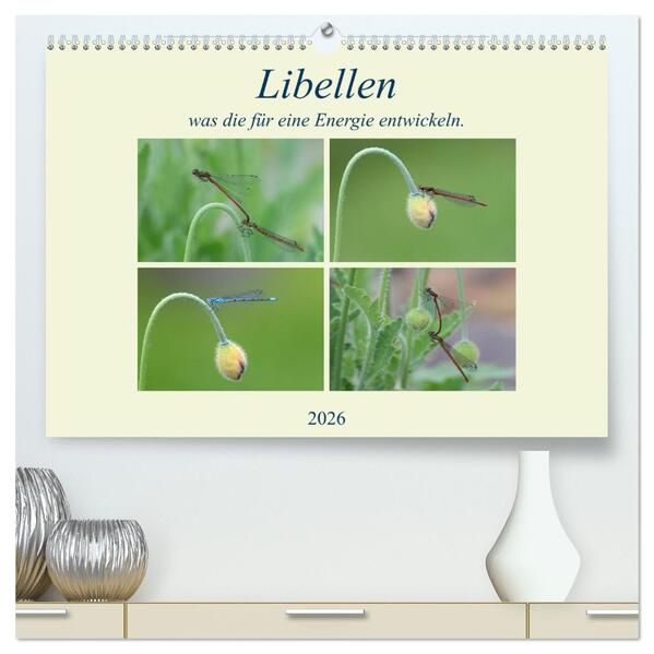 Libellen was die für eine Energie entwickeln. (hochwertiger Premium Wandkalender 2026 DIN A2 quer) Kunstdruck in Hochglanz