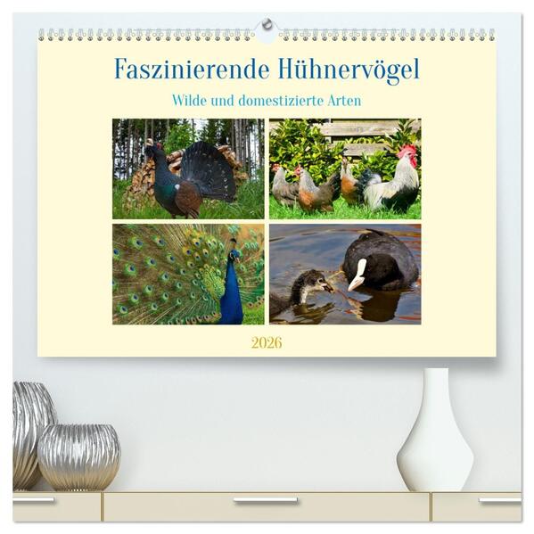 Faszinierende Hühnervögel (hochwertiger Premium Wandkalender 2026 DIN A2 quer) Kunstdruck in Hochglanz