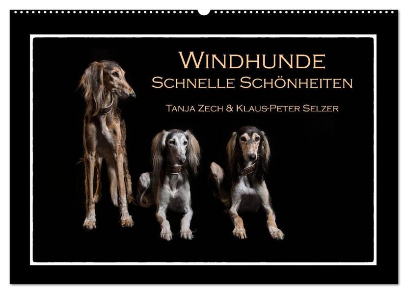 Windhunde - Schnelle Schönheiten (Wandkalender 2026 DIN A2 quer) CALVENDO Monatskalender