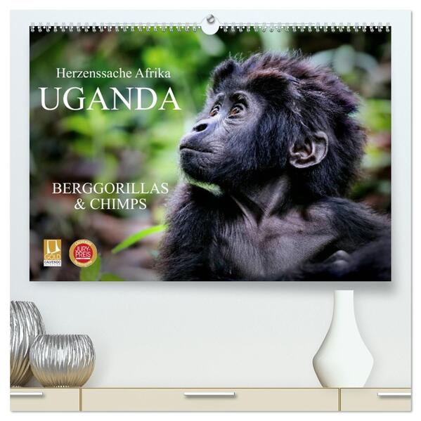 UGANDA - Berggorillas & Chimps (hochwertiger Premium Wandkalender 2026 DIN A2 quer) Kunstdruck in Hochglanz