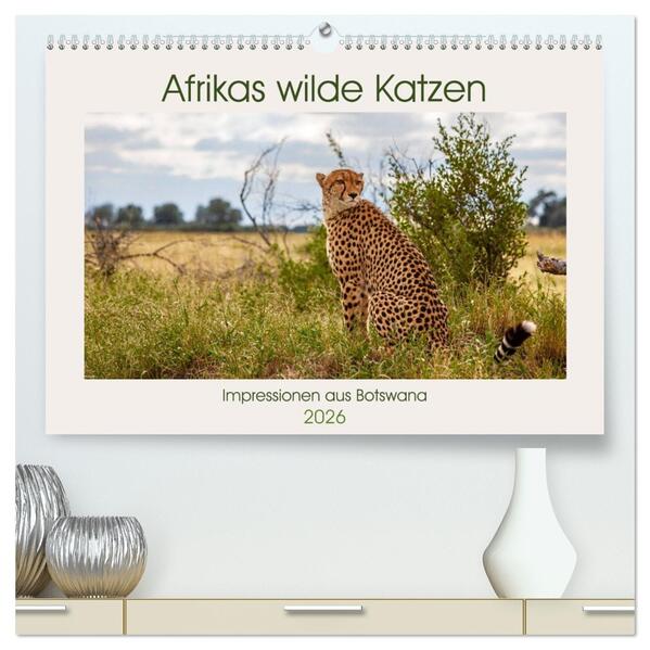 Afrikas wilde Katzen (hochwertiger Premium Wandkalender 2026 DIN A2 quer) Kunstdruck in Hochglanz
