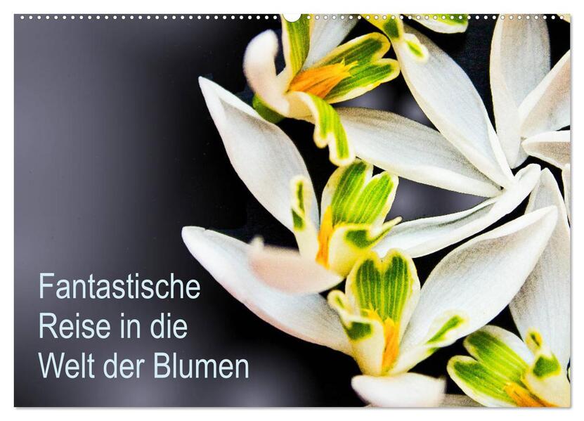 Fantastische Reise in die Welt der Blumen (Wandkalender 2026 DIN A2 quer) CALVENDO Monatskalender