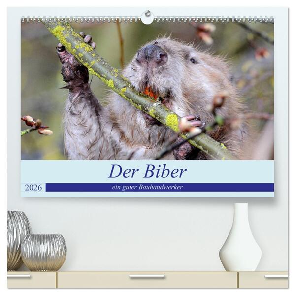 Der Biber ein guter Bauhandwerker (hochwertiger Premium Wandkalender 2026 DIN A2 quer) Kunstdruck in Hochglanz