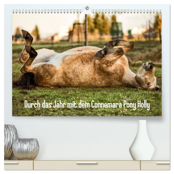 Durch das Jahr mit dem Connemara Pony Holly (hochwertiger Premium Wandkalender 2026 DIN A2 quer) Kunstdruck in Hochglanz
