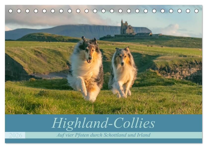 Highland-Collies - Auf vier Pfoten durch Schottland und Irland (Tischkalender 2026 DIN A5 quer) CALVENDO Monatskalender