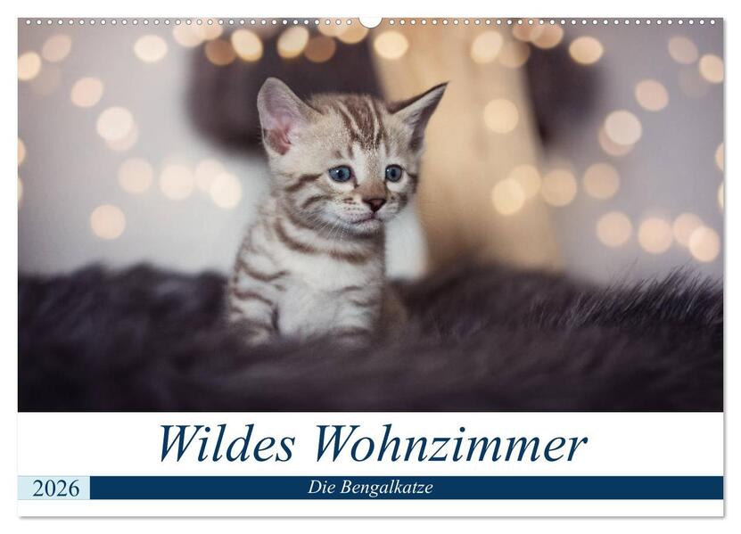 Wildes Wohnzimmer - Die Bengalkatze (Wandkalender 2026 DIN A2 quer) CALVENDO Monatskalender