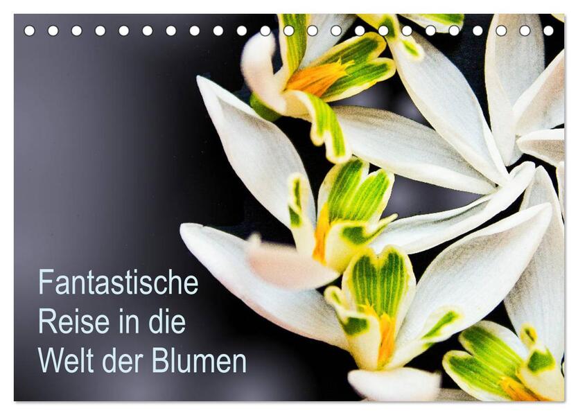 Fantastische Reise in die Welt der Blumen (Tischkalender 2026 DIN A5 quer) CALVENDO Monatskalender