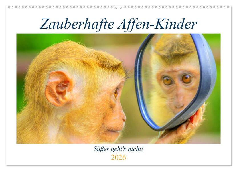 Zauberhafte Affenkinder. Süßer gehts nicht! (Wandkalender 2026 DIN A2 quer) CALVENDO Monatskalender