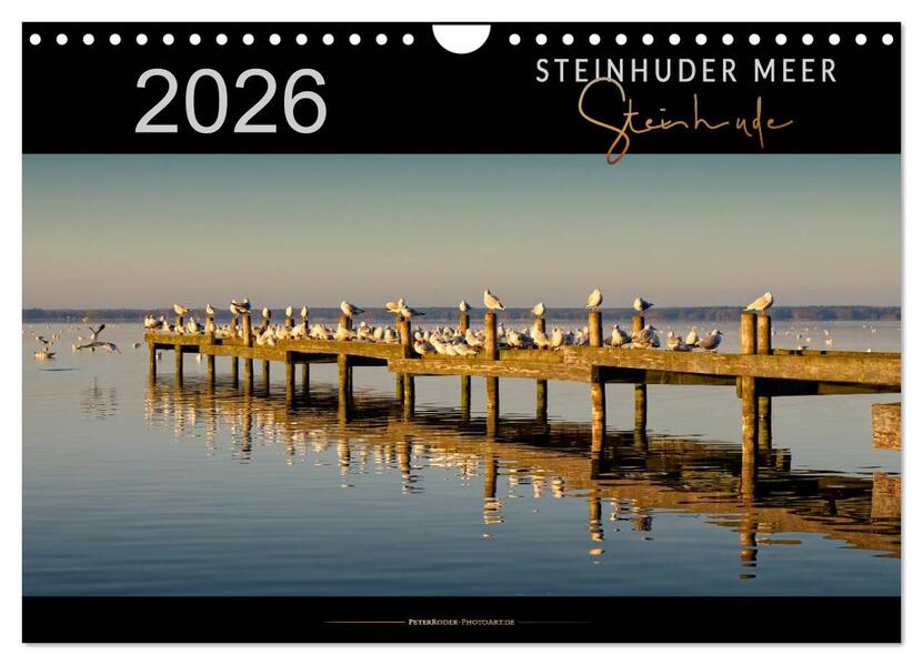 Steinhuder Meer - Steinhude (Wandkalender 2026 DIN A4 quer) CALVENDO Monatskalender