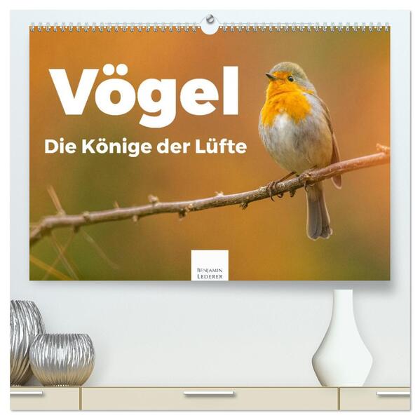 Vögel - Die Könige der Lüfte (hochwertiger Premium Wandkalender 2026 DIN A2 quer) Kunstdruck in Hochglanz