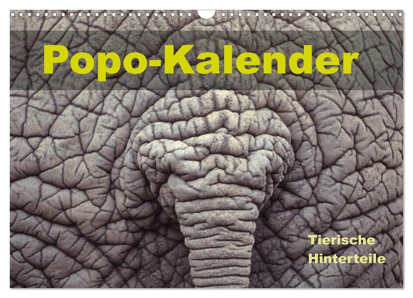 Popo-Kalender (Wandkalender 2026 DIN A3 quer) CALVENDO Monatskalender