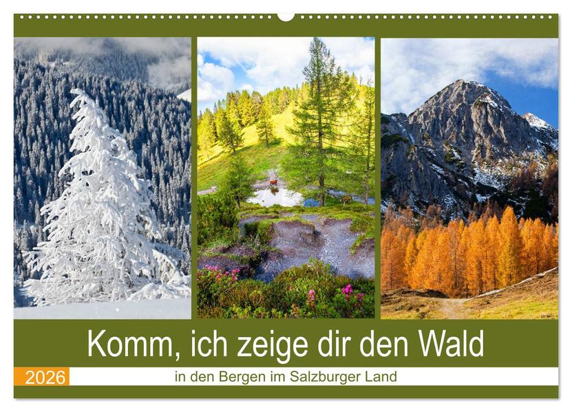 Komm ich zeige dir den Wald (Wandkalender 2026 DIN A2 quer) CALVENDO Monatskalender