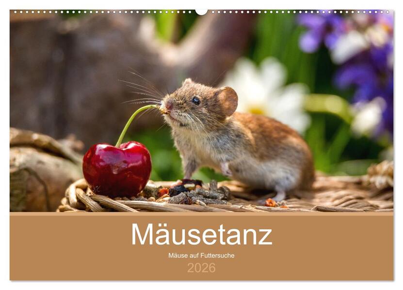 Mäusetanz (Wandkalender 2026 DIN A2 quer) CALVENDO Monatskalender