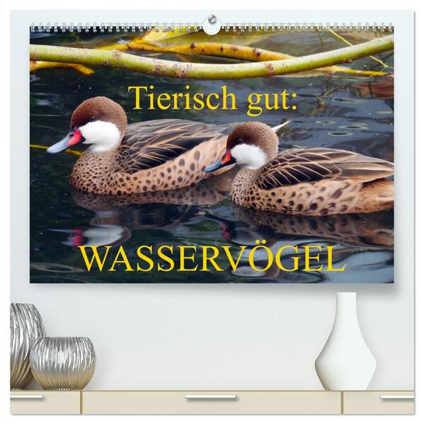 Tierisch gut: Wasservögel (hochwertiger Premium Wandkalender 2026 DIN A2 quer) Kunstdruck in Hochglanz