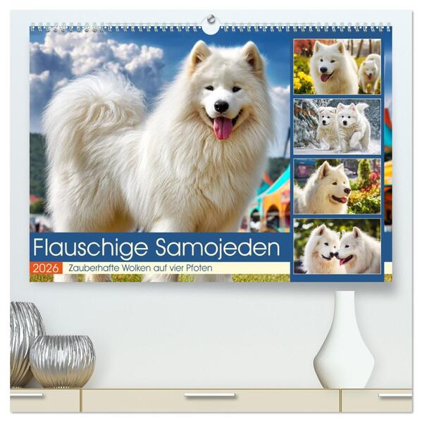 Flauschige Samojeden. Zauberhafte Wolken auf vier Pfoten (hochwertiger Premium Wandkalender 2026 DIN A2 quer) Kunstdruck in Hochglanz