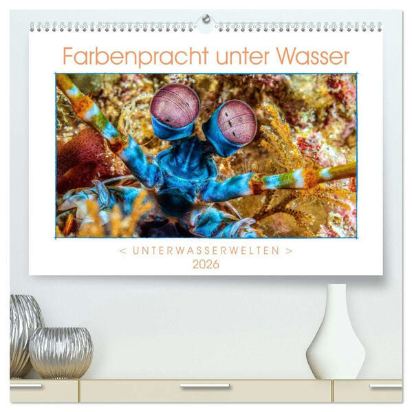 Farbenpracht unter Wasser (hochwertiger Premium Wandkalender 2026 DIN A2 quer) Kunstdruck in Hochglanz