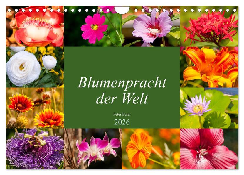 Blumenpracht der Welt (Wandkalender 2026 DIN A4 quer) CALVENDO Monatskalender