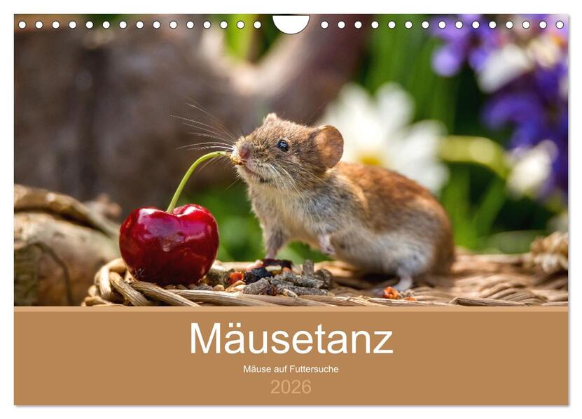 Mäusetanz (Wandkalender 2026 DIN A4 quer) CALVENDO Monatskalender