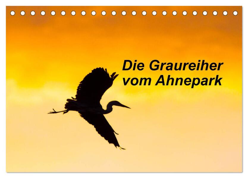 Die Graureiher vom Ahnepark (Tischkalender 2026 DIN A5 quer) CALVENDO Monatskalender
