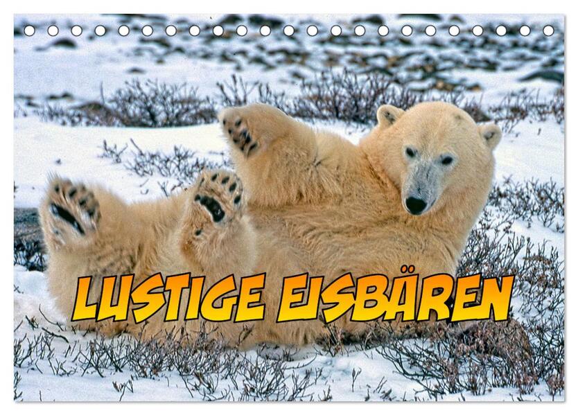 Lustige Eisbären (Tischkalender 2026 DIN A5 quer) CALVENDO Monatskalender