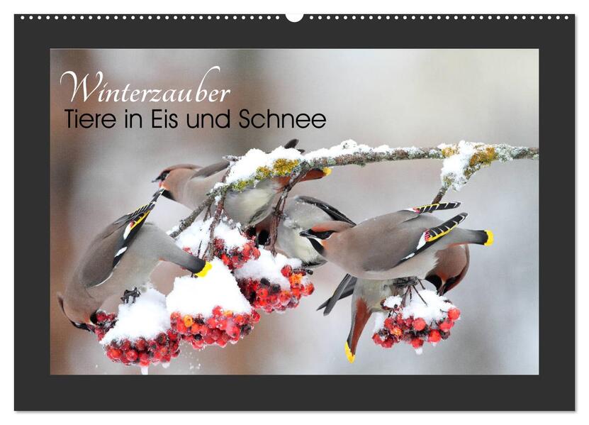 Winterzauber - Tiere in Eis und Schnee (Wandkalender 2026 DIN A2 quer) CALVENDO Monatskalender