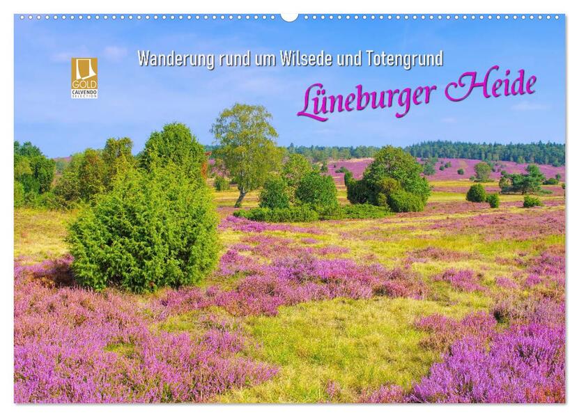 Lüneburger Heide - Wanderung rund um Wilsede und Totengrund (Wandkalender 2026 DIN A2 quer) CALVENDO Monatskalender