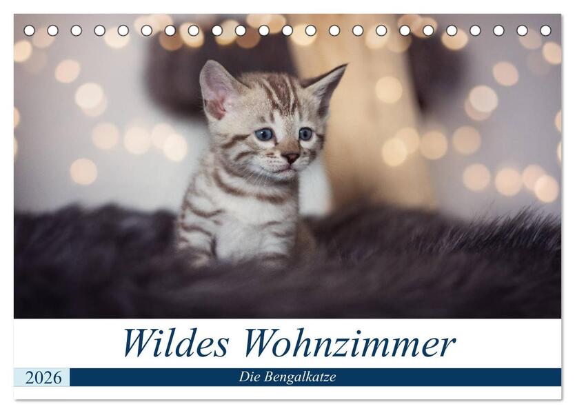 Wildes Wohnzimmer - Die Bengalkatze (Tischkalender 2026 DIN A5 quer) CALVENDO Monatskalender