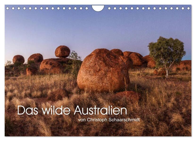 Das wilde Australien (Wandkalender 2026 DIN A4 quer) CALVENDO Monatskalender
