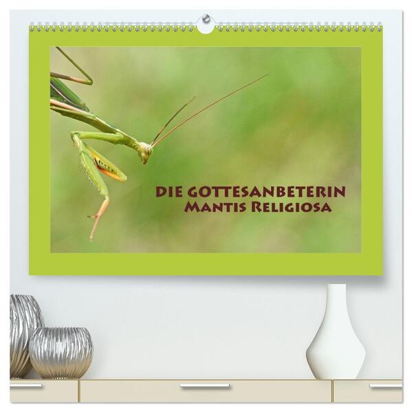 Die Gottesanbeterin Mantis Religiosa (hochwertiger Premium Wandkalender 2026 DIN A2 quer) Kunstdruck in Hochglanz