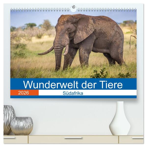 Wunderwelt der Tiere - Südafrika (hochwertiger Premium Wandkalender 2026 DIN A2 quer) Kunstdruck in Hochglanz