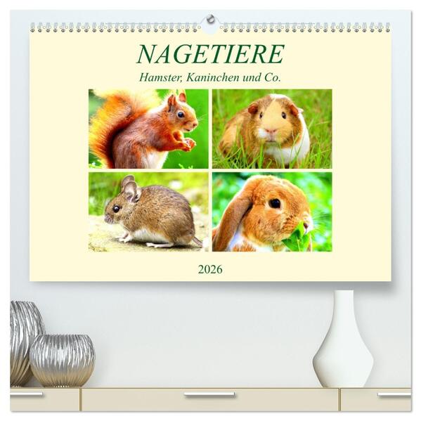 Nagetiere. Hamster Kaninchen und Co. (hochwertiger Premium Wandkalender 2026 DIN A2 quer) Kunstdruck in Hochglanz